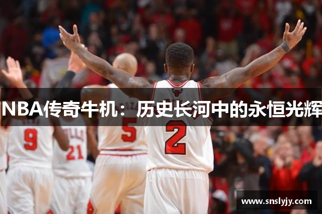 NBA传奇牛机：历史长河中的永恒光辉