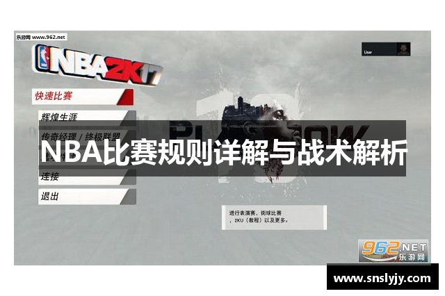 NBA比赛规则详解与战术解析