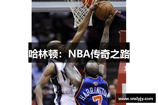 哈林顿:NBA传奇之路 哈林顿:NBA传奇之路