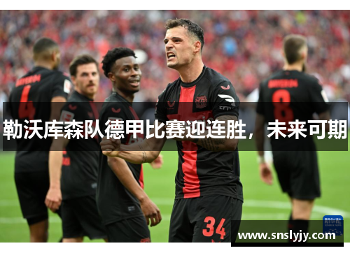 勒沃库森队德甲比赛迎连胜,未来可期 勒沃库森队德甲比赛迎连胜,未来可期