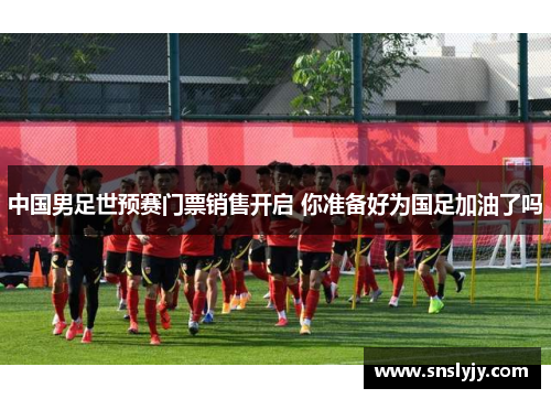 中国男足世预赛门票销售开启 你准备好为国足加油了吗