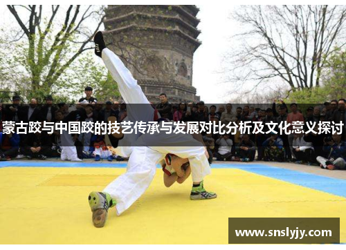 蒙古跤与中国跤的技艺传承与发展对比分析及文化意义探讨